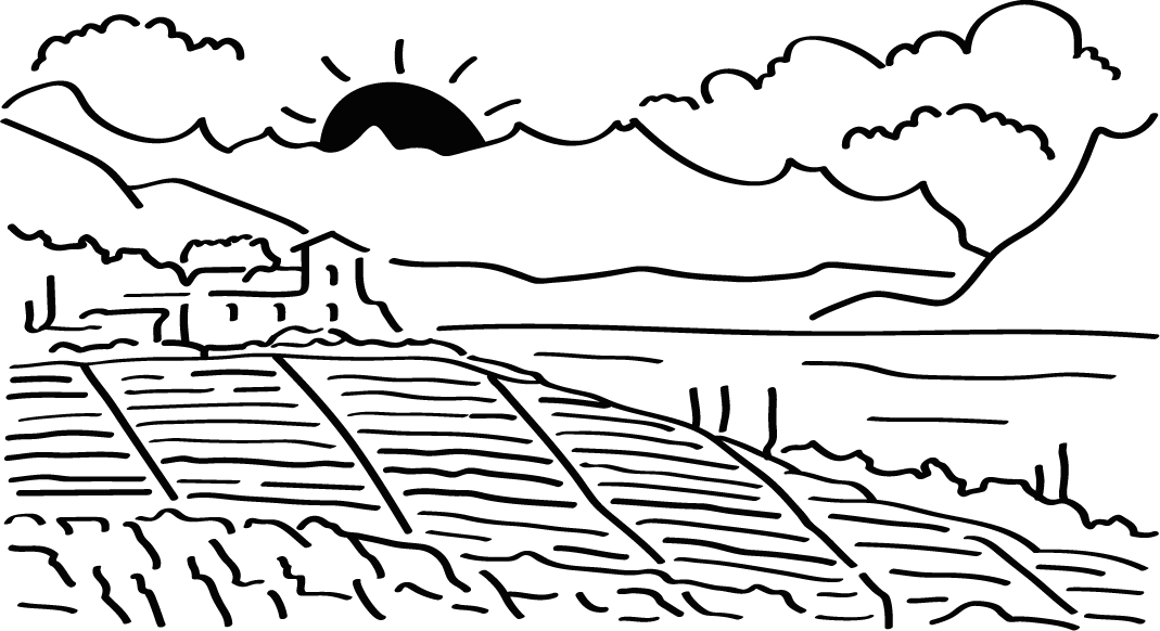 11_Lavaux